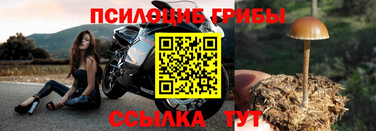 Вольск  Галлюциногенные грибы Magic Shrooms  где продают   Вход с VPN 